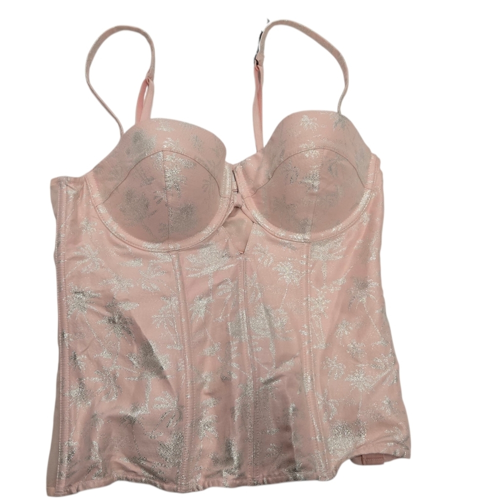 NWT Victoria Secret Corset Light Pink And Silver Sz 34 C